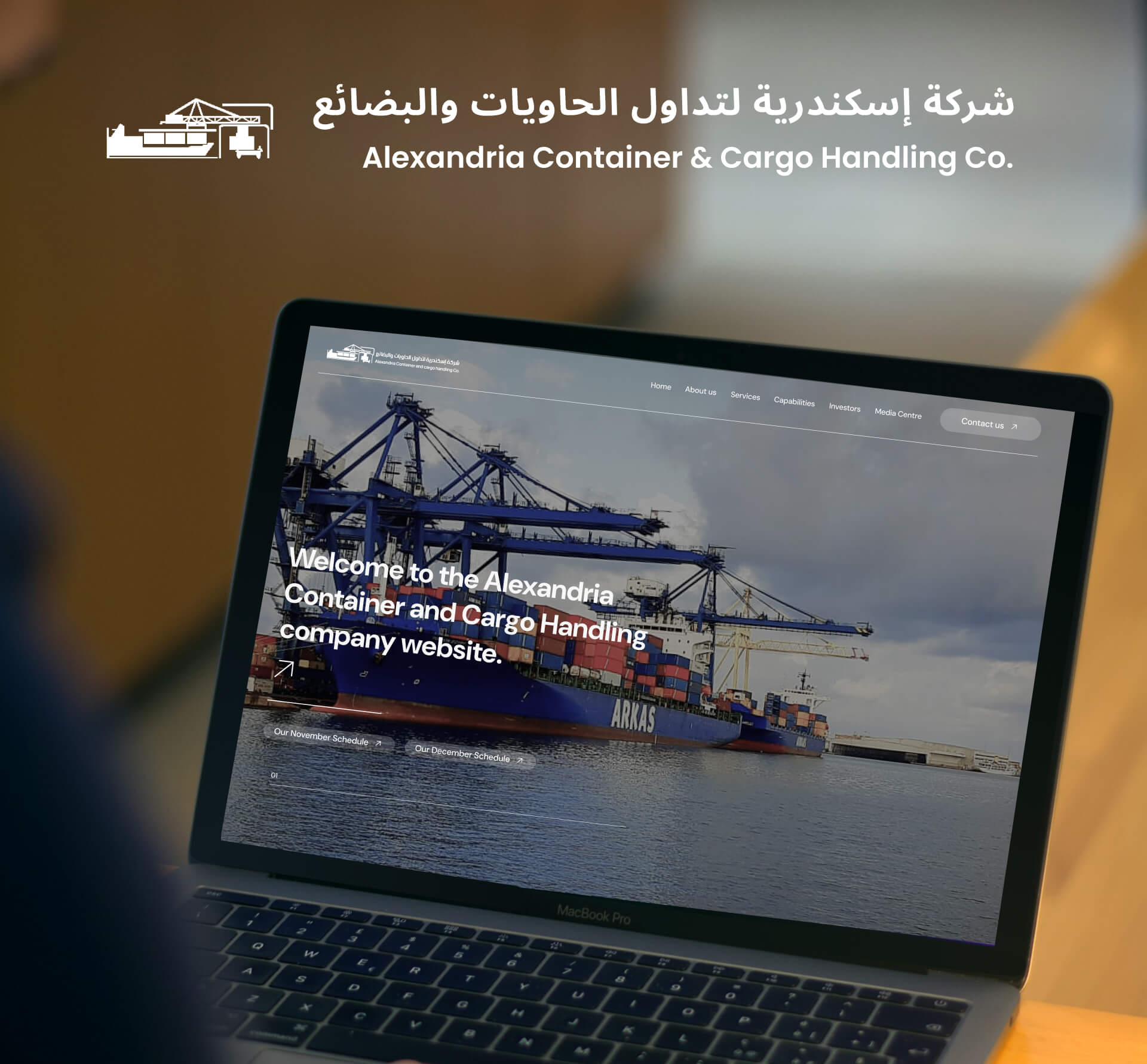 Alex Web Design, website development and mobile app development company clients in Egypt - Alexandria Container & Cargo Handling