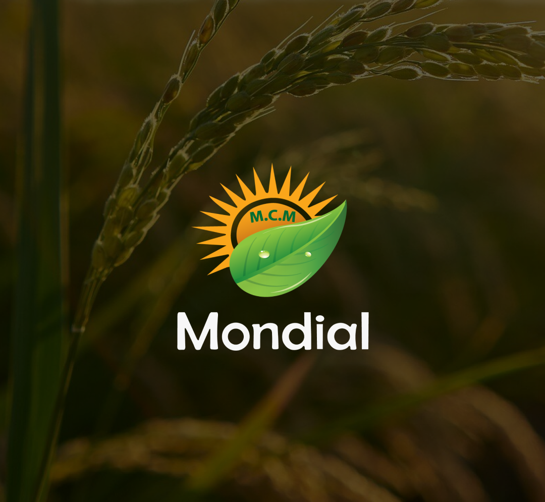 Alex Web Design, website development and mobile app development company clients in Egypt - Mondial